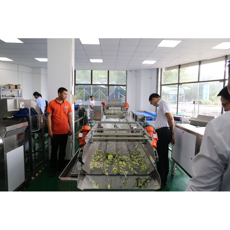 央厨网-TW-XL-03L涡流式振动洗菜机