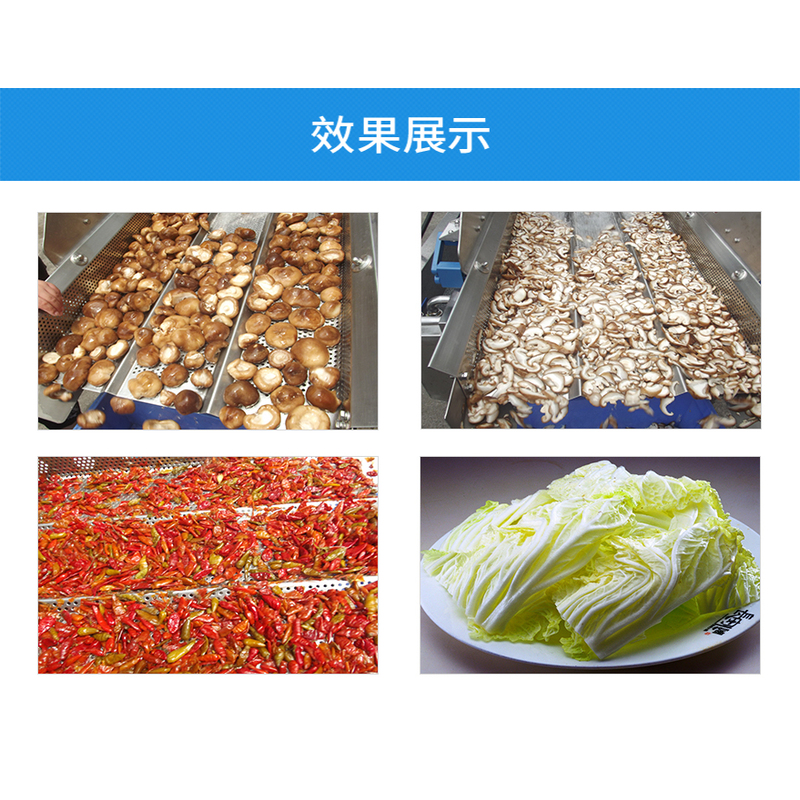 央厨网-TW-406洗菜机