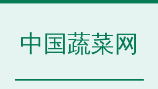中国蔬菜网