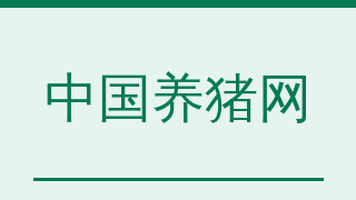 中国养猪网